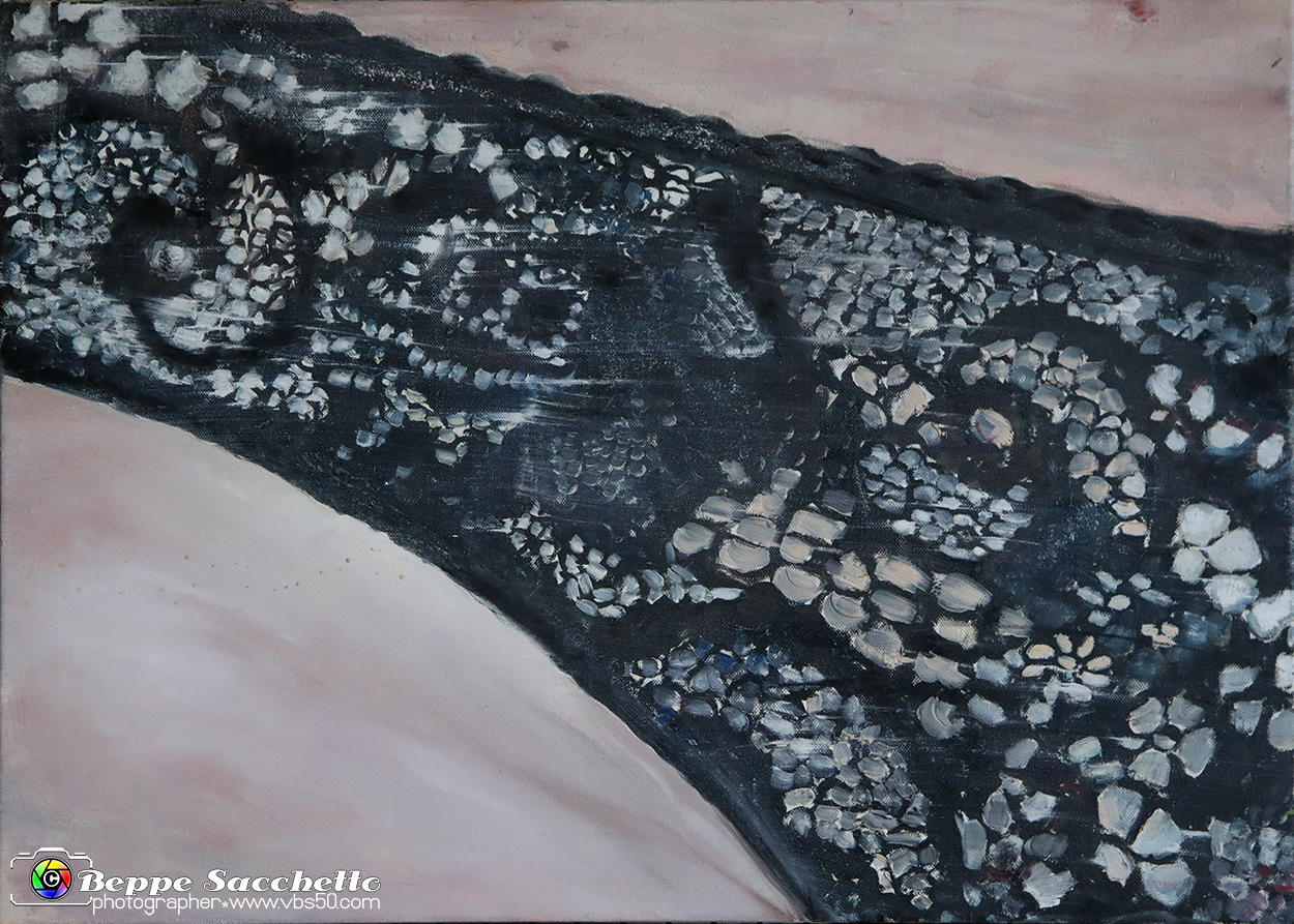 VBS_3259 - Mostra Art For Freedom.jpg